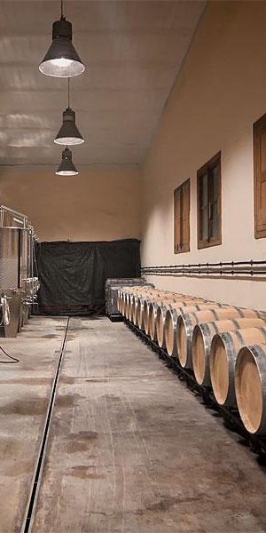 mallorca-bodega-vino-de-la-isla-weinmanufaktur-4